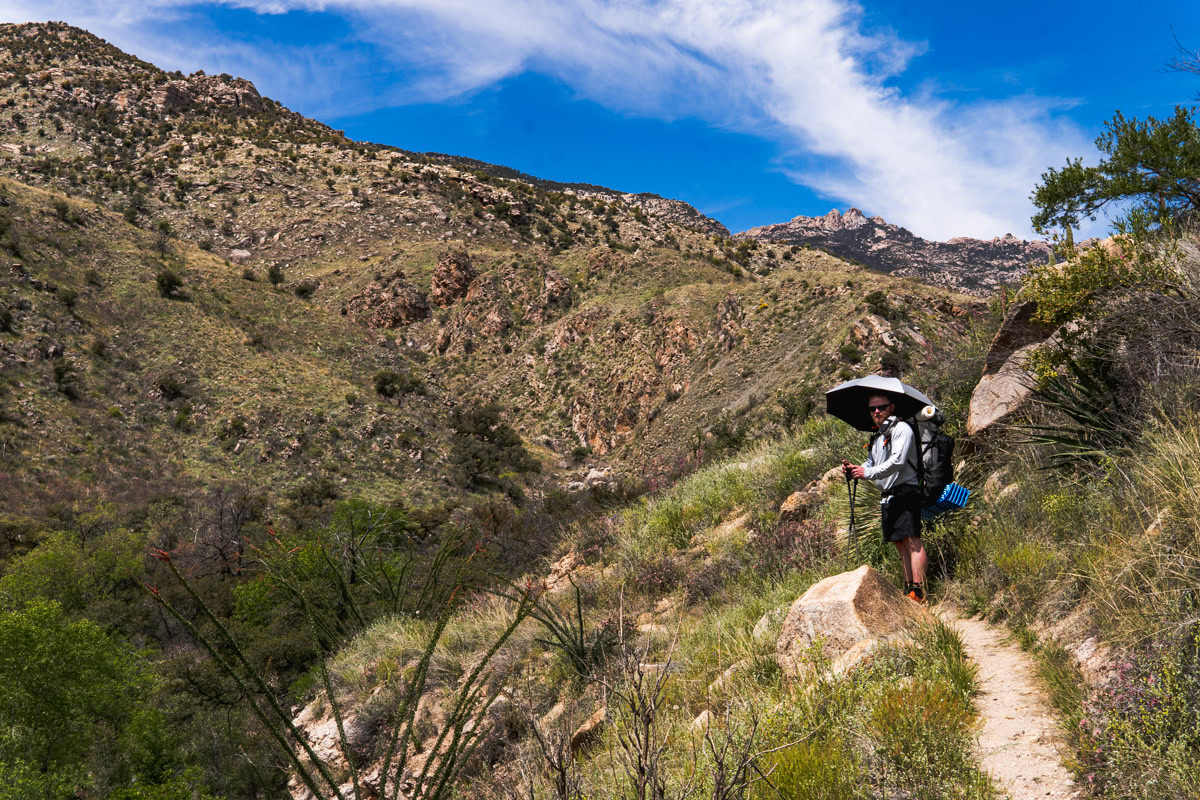 A man looks back at the camera under an umbrella